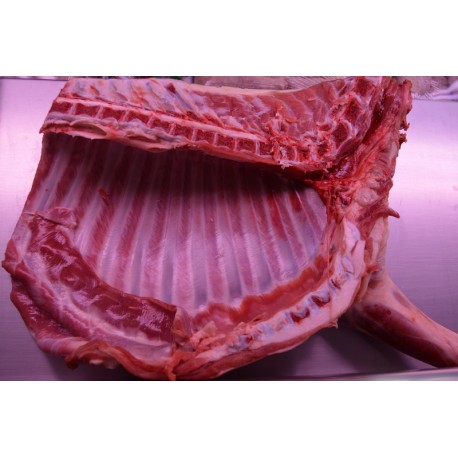 cuarto de cordero recental